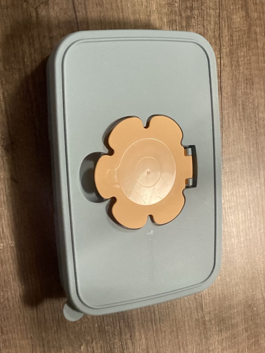 Tupperware Contenitori & Simili: behälter tupperware für feuchttücher oder dergleichen – Usato da gretzenbach venduto da mic_cvj6
