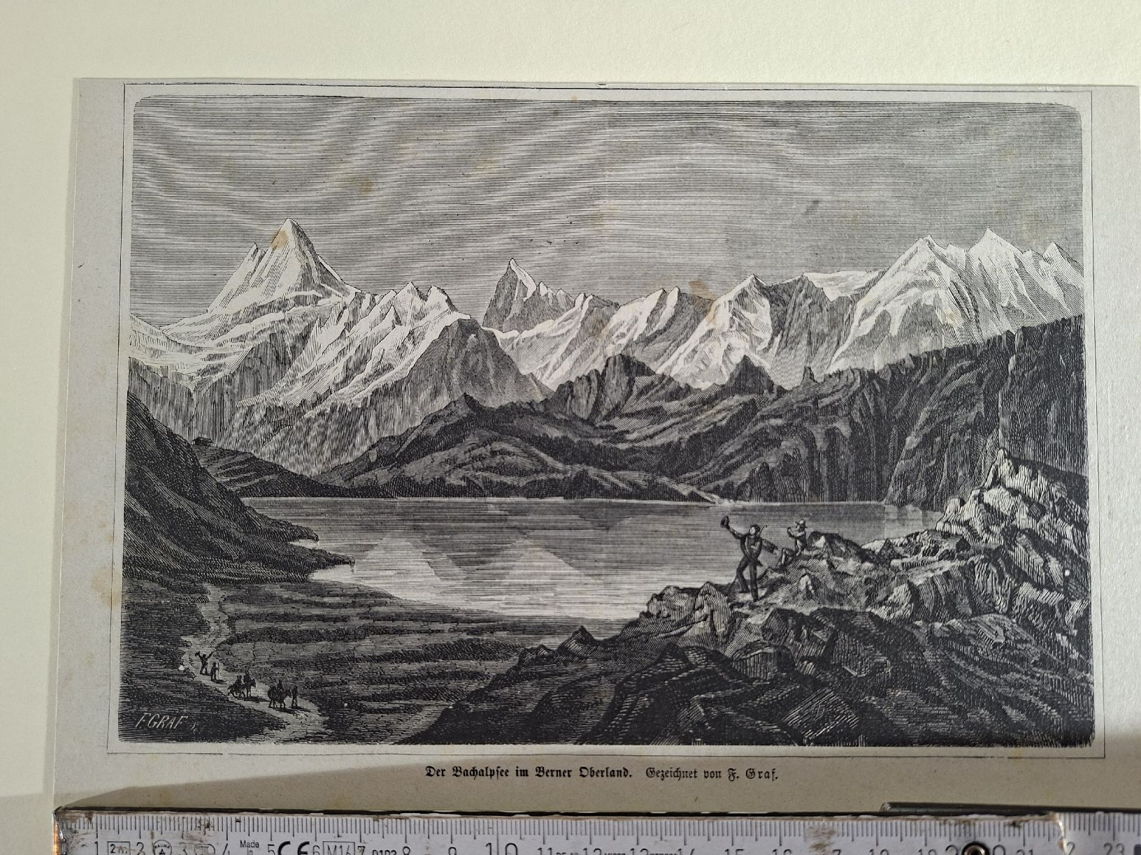Incisioni: Lot 24, 5 Stiche – Usato da Grindelwald venduto da carro5 7