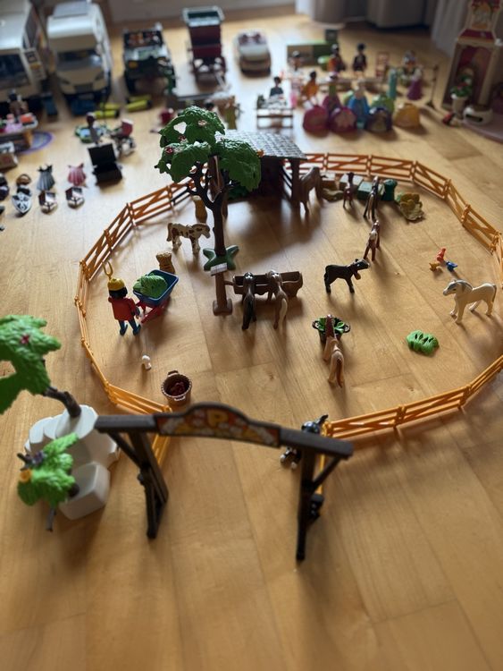 Playmobil Jouets: Playmobil Bundle  - Horses, Knights, Cars & More! – D'occasion à Zollikerberg par Matfreu 1