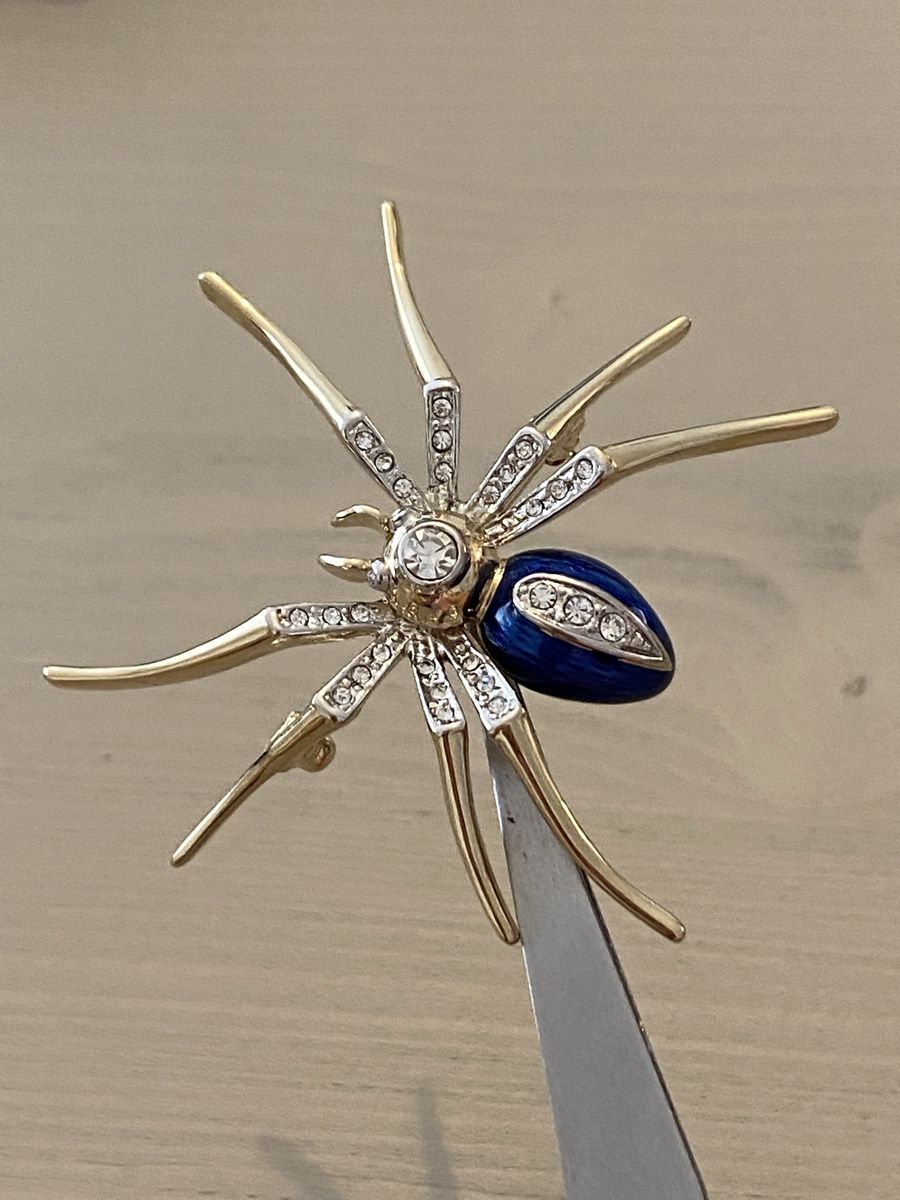Broschen & Nadeln: Elegante Spinnen-Brosche 🌟🌺🌟🌸 – Gebraucht aus Birr von Vintage-Liebhaber