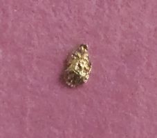 Goldnugget Alaska USA J108 – echter Goldnugget – ca. 2,2 mm
