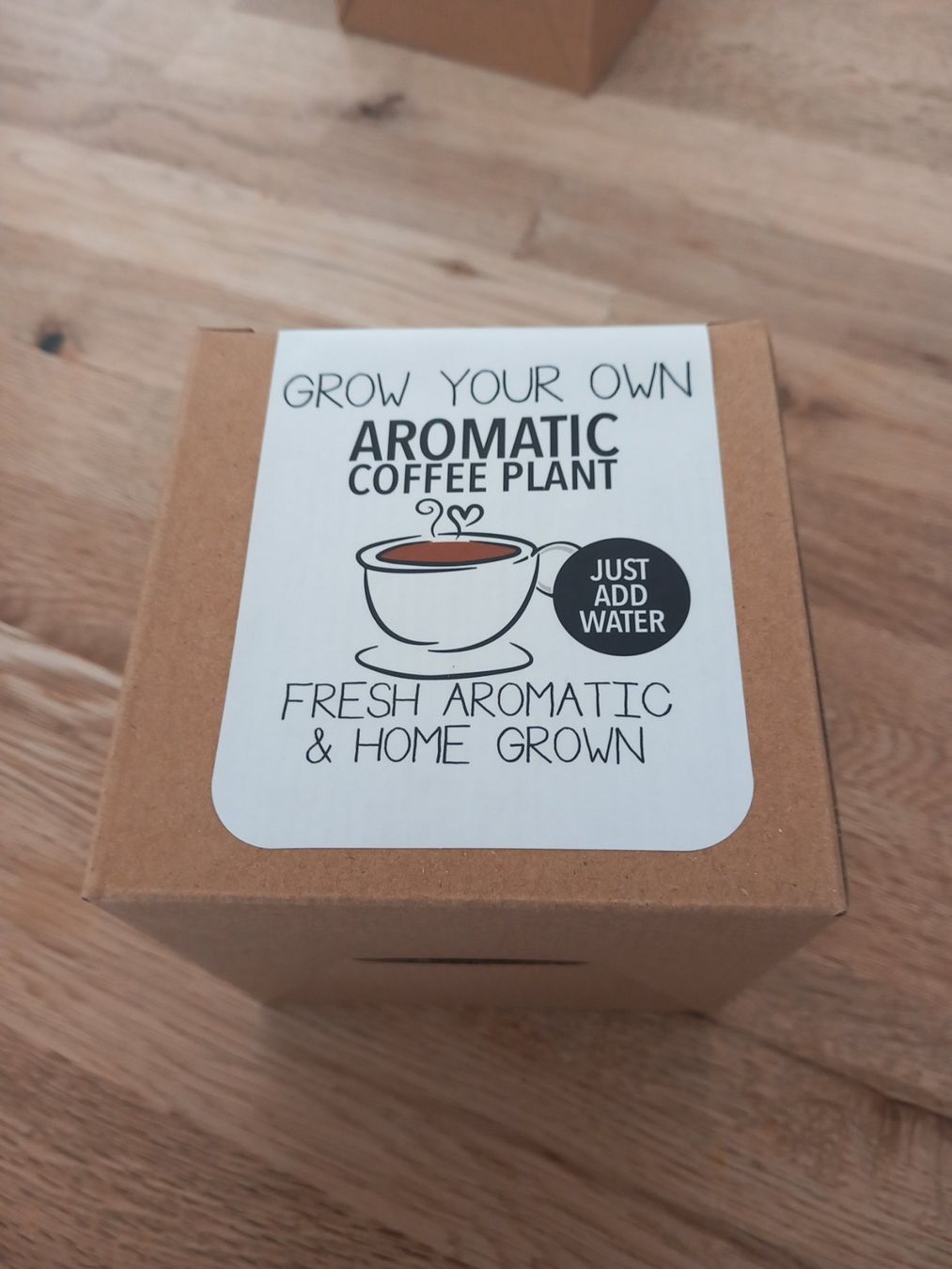 Piante & sementi: Pflanzen Samen Kaffee  TOLLE GESCHENKIDEE – Nuovo e nell'imballaggio originale da Thun venduto da Beas-Allerlei
