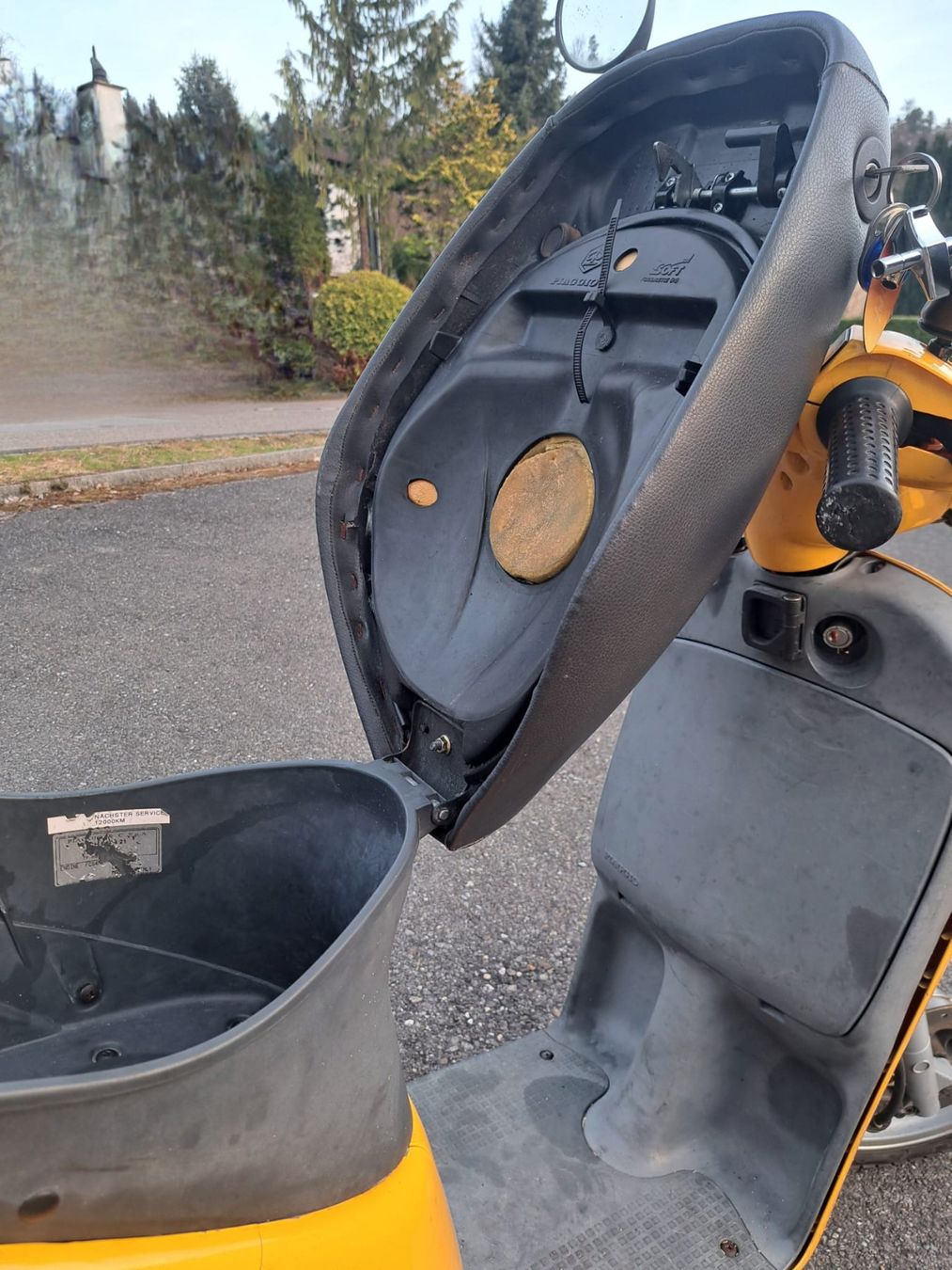 Piaggio Cyclomoteurs: Piaggio Free 50, Post-Töffli – D'occasion à Gretzenbach par Eriku 4