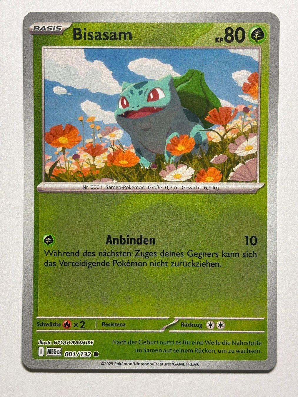 Pokémon Carte collezionabili: Bisasam (MEG 1) - Reverse Holo - DE – Usato da Allschwil venduto da bul_5pmr