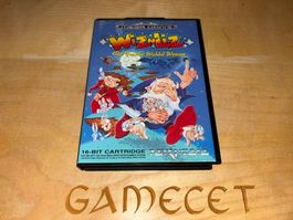Wiz 'n' Liz - Sega Mega Drive - Top Zustand - Selten!