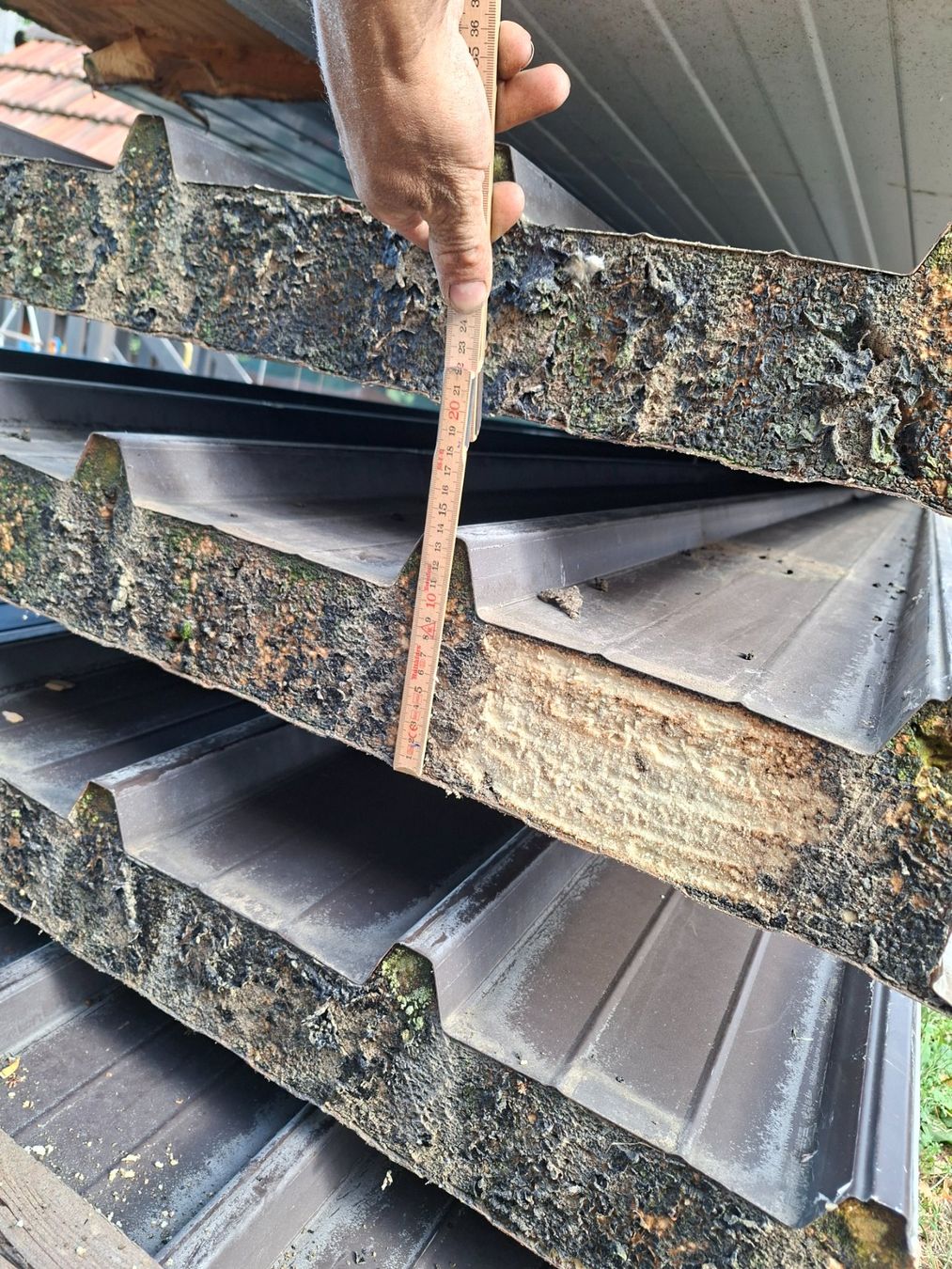 Sonstige Baumaterialien: Sandwichpaneele – Gebraucht aus beromünster von ppbb44 1