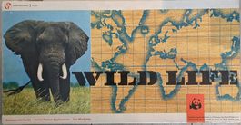Wild Life – Das grosse Tierspiel