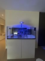 Hochwertiges Meerwasseraquarium mit Unterschrank & Technikbe