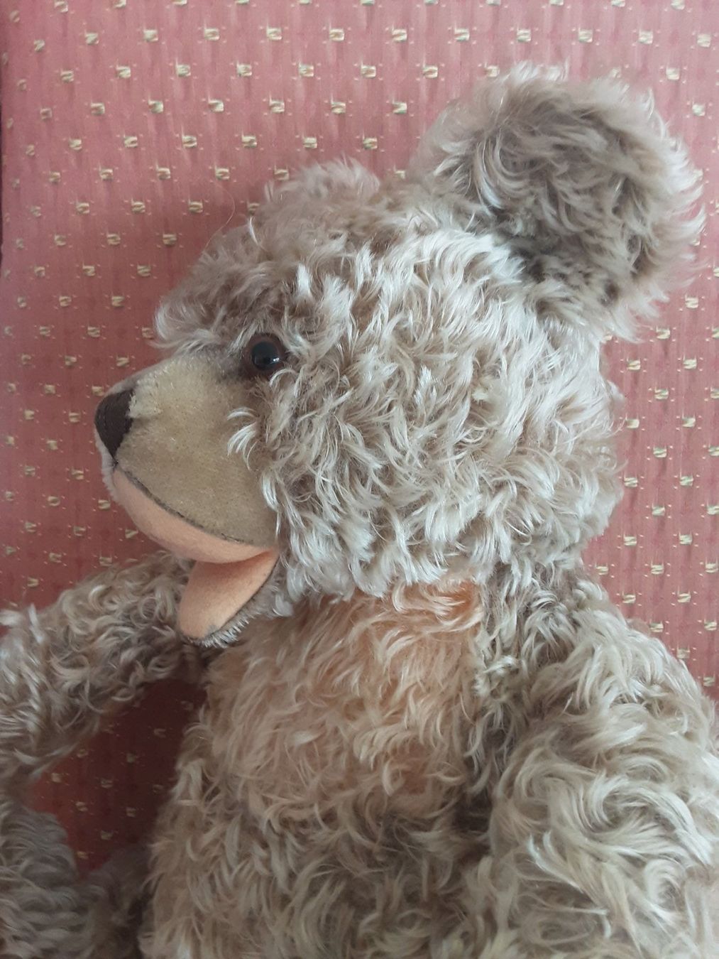 Giocattoli: STEIFF Zotty Teddybär – Usato da St. Gallen venduto da charly92 4