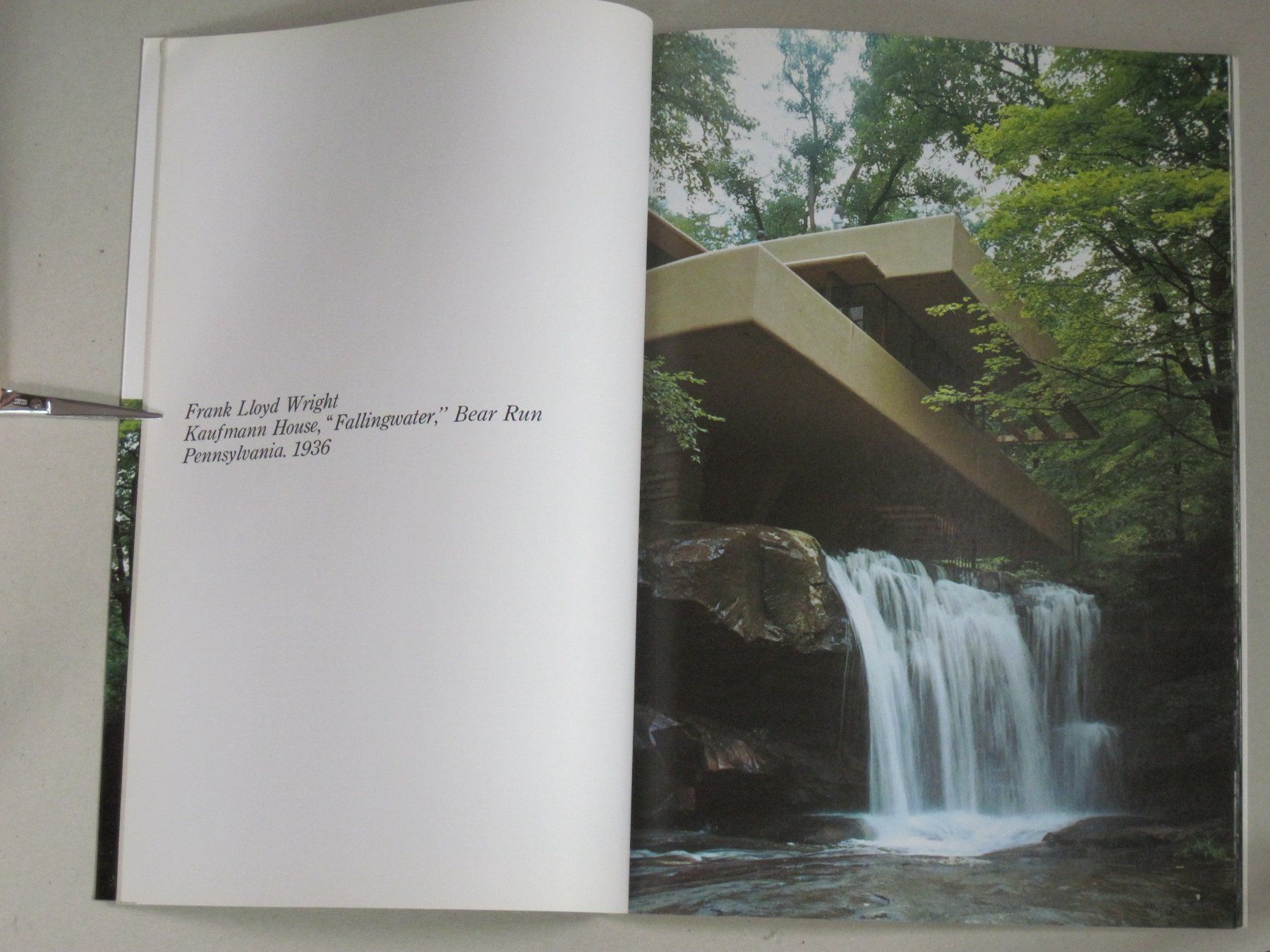 Libri: Frank Lloyd Wright Fallingwater – Usato da Feuerthalen venduto da mam_5l7b 2