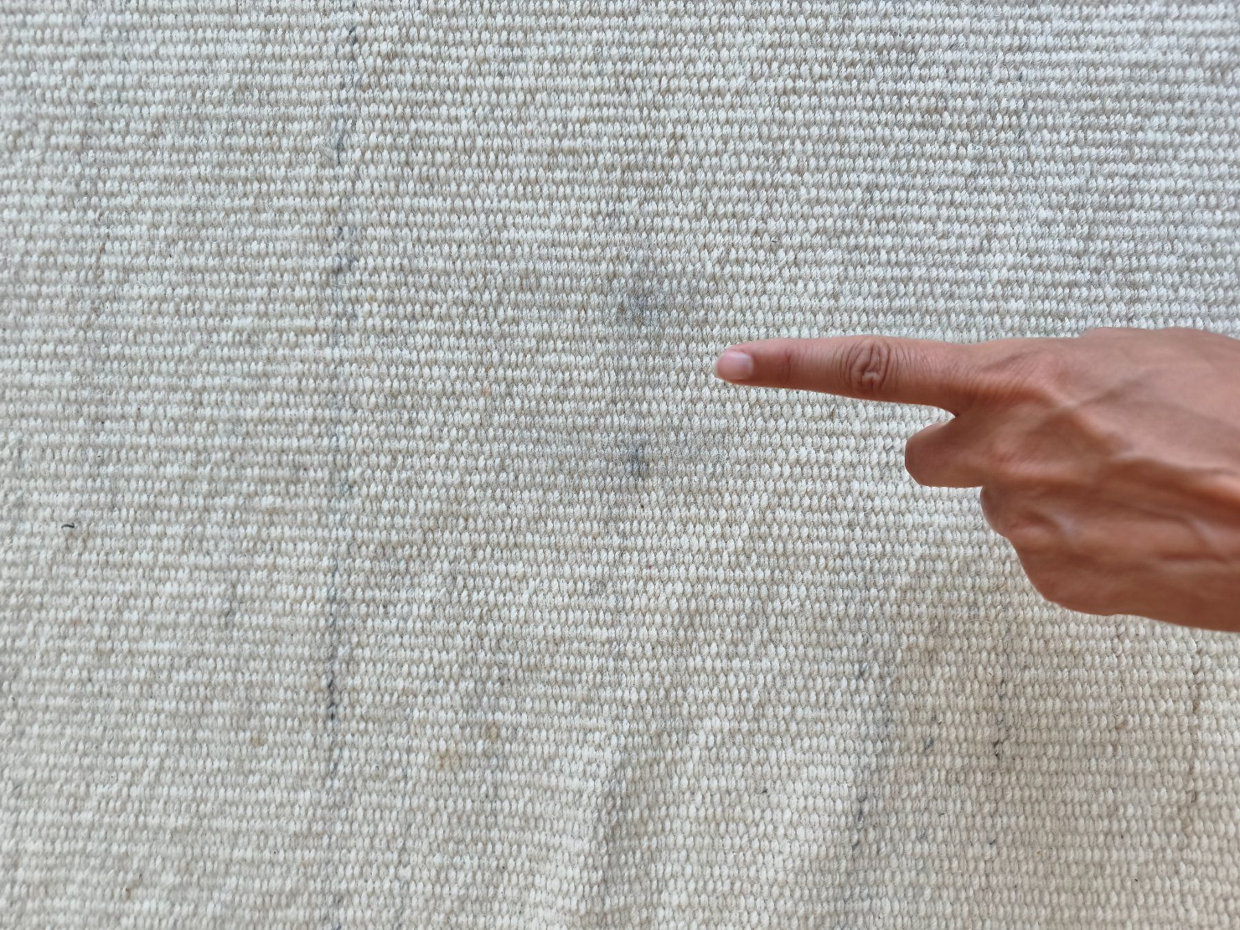 Tappeti: Gemütlicher Naturfaser-Teppich in hellem Beige – Usato da Glattpark(Opfikon) venduto da vrau 5