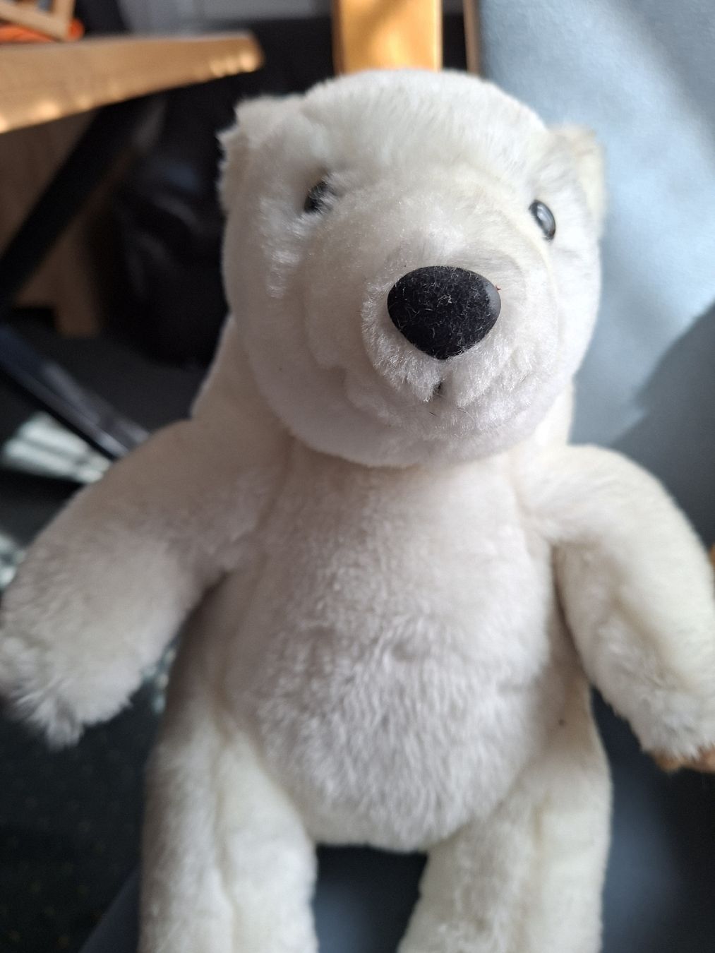 Statuette: Zwei Stoffbären Eisbär und Teddybär – Usato da Oberhasli venduto da Cortina 1