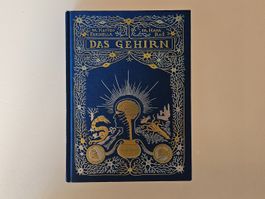 Das Gehirn - Entdecke die Welt der Neuronen