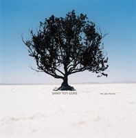 Shiny Toy Guns - We Are Pilots