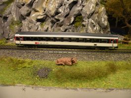 Personenzug N EW 4 mit Steuerwagen, 6 Wagen