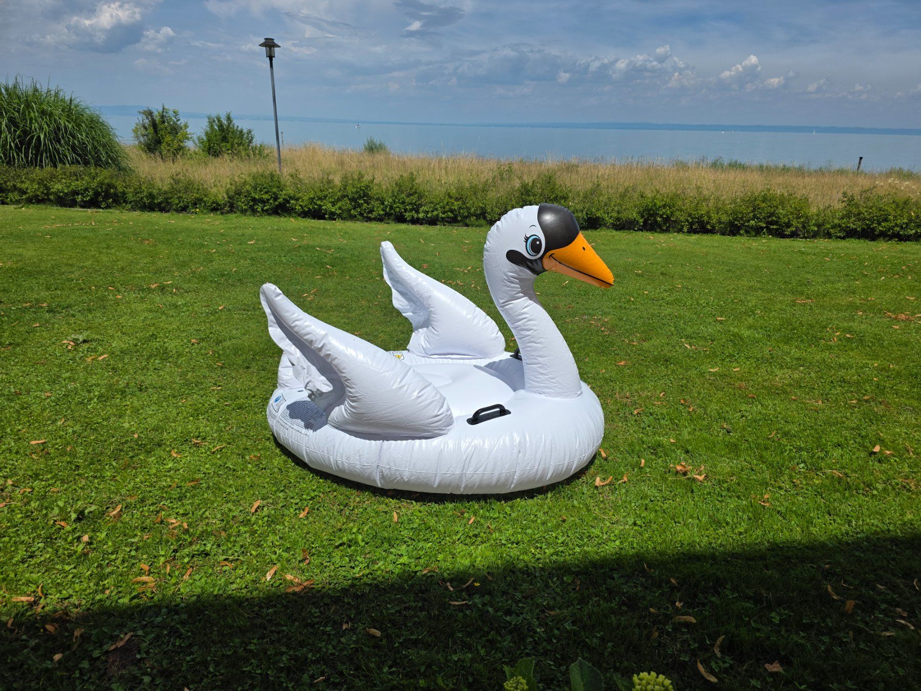 Schwimmringe: Intex Schwimmtier Schwan – Gebraucht aus Arbon von Maja_80