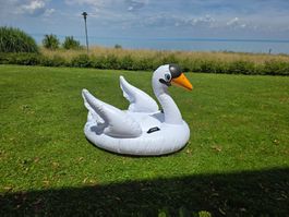 Intex Schwimmtier Schwan
