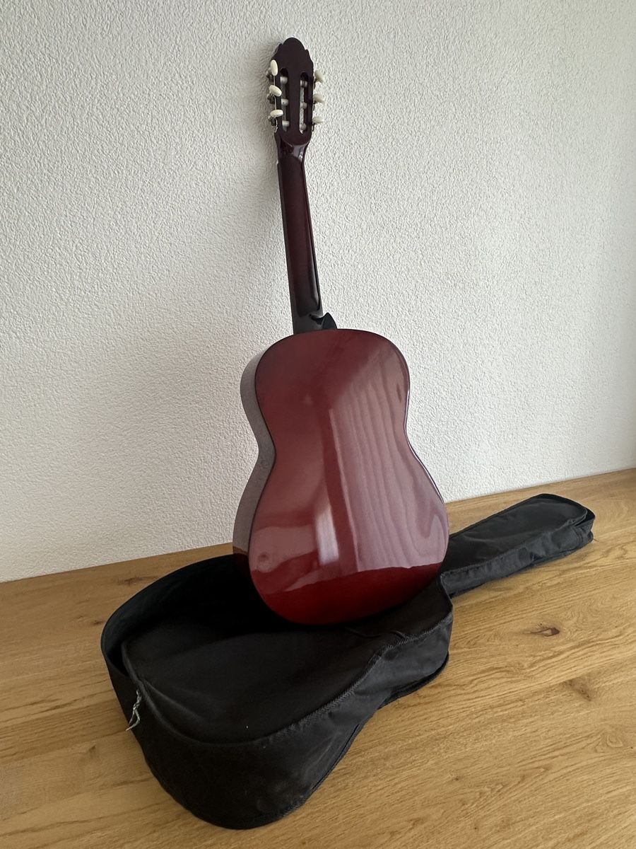 C.Giant Strumenti musicali: Gitarre C.Giant – Usato da Schaffhausen venduto da pinca19 7