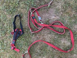 Hundegeschirr und Leine rot schwarz verstellbar gebraucht