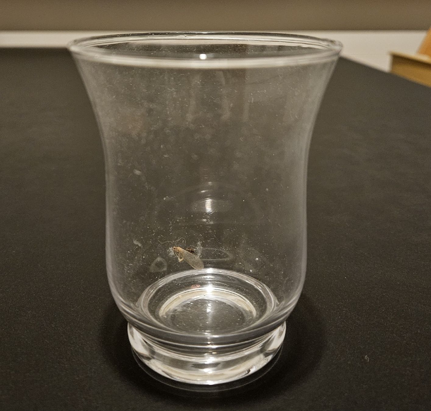 Tutte le decorazioni: Windlicht Glas – Usato da Ebmatingen venduto da D.A.C.