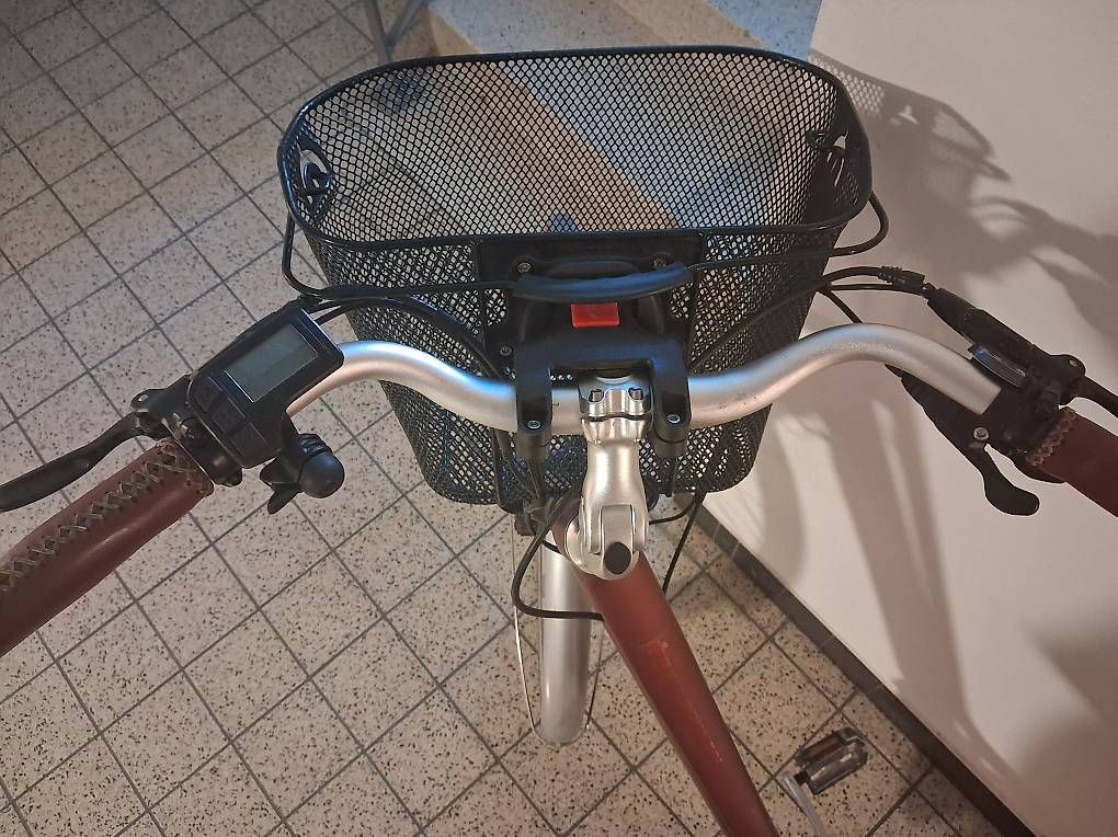 Velos: Allegro E-Bike – Gebraucht aus Steffisburg von mel_l8dh 1