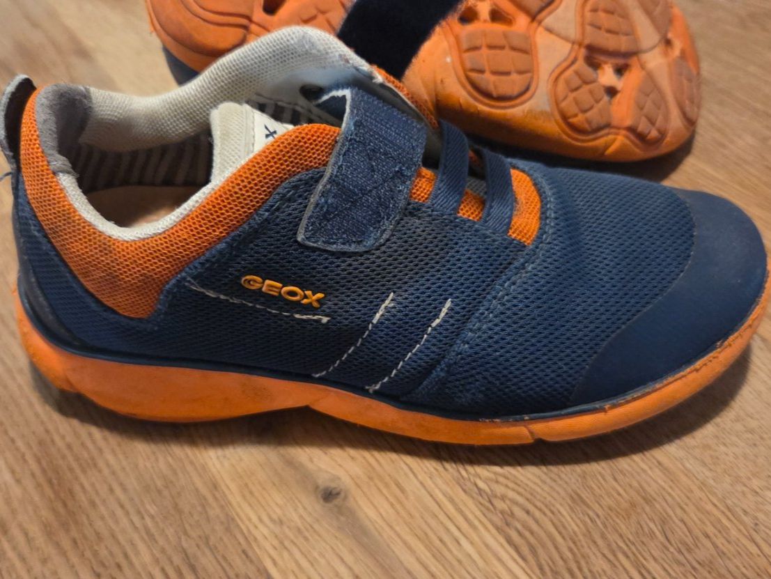 Geox Schuhe für Jungen: Turnschuhe Geox,Gr. 31 – Gebraucht aus Basel von Mccasi 2