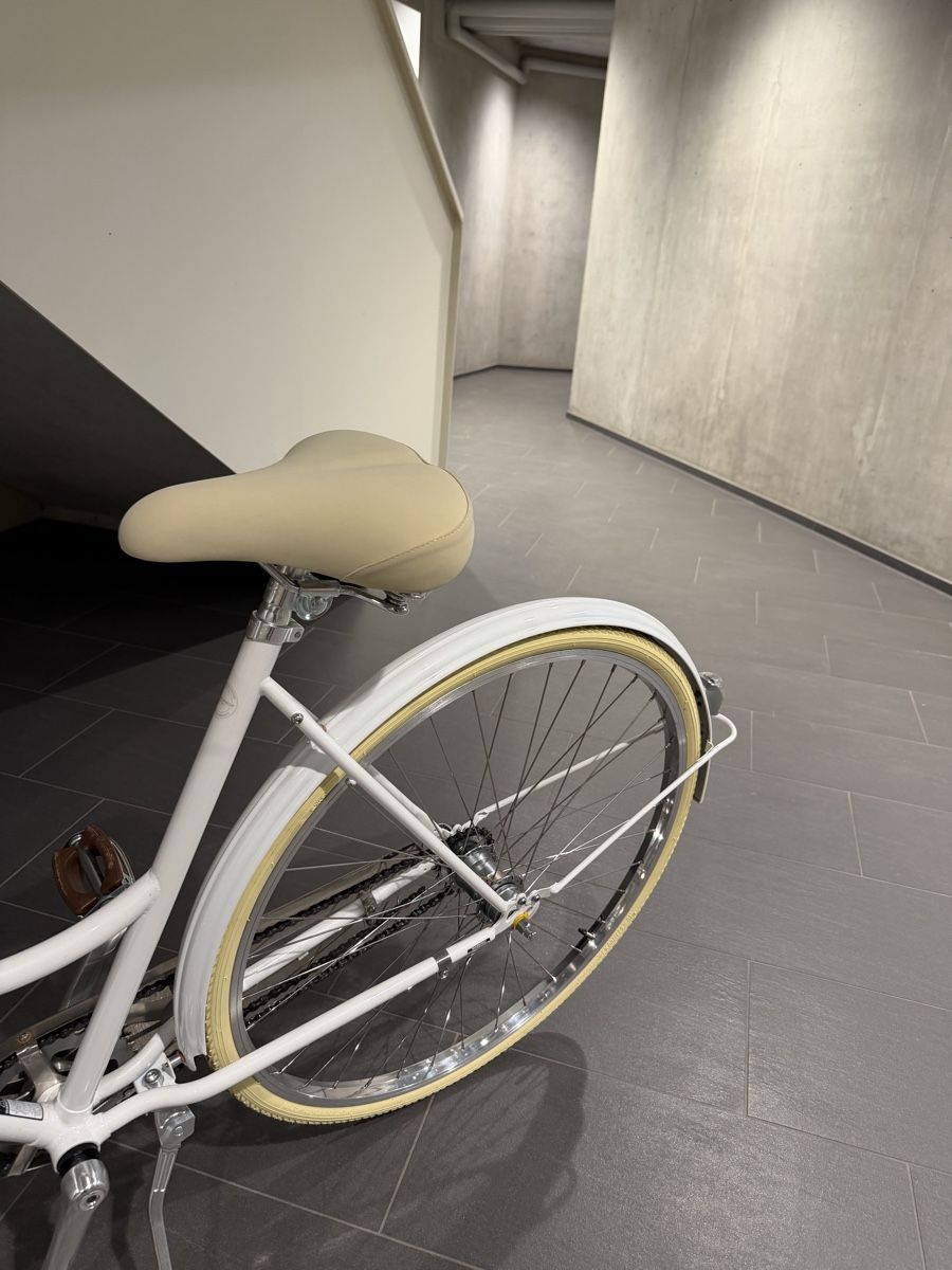 Biciclette: Damenrad wie NEU! – Nuovo (secondo la descrizione) da Binningen venduto da pas_5mbd 3
