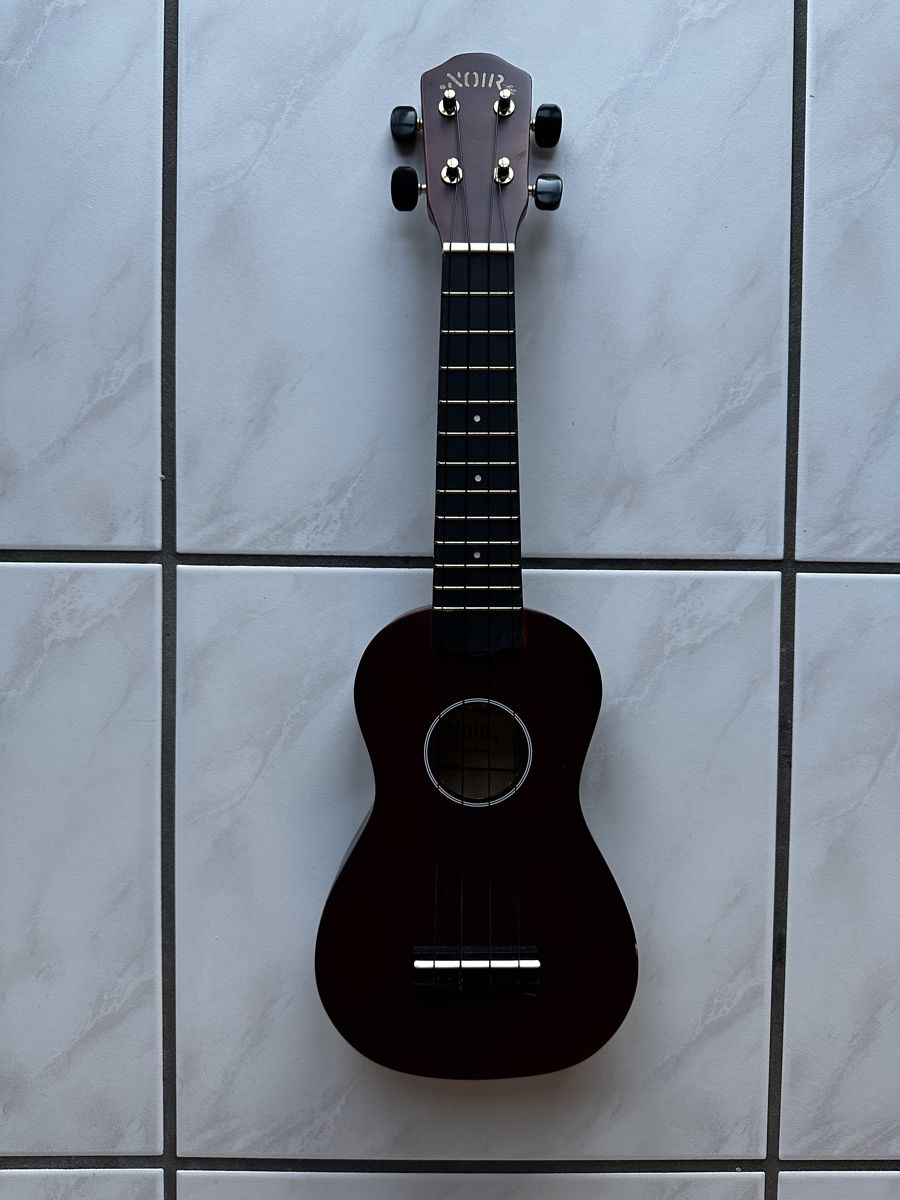 Strumenti musicali: Schwarze NOIR Ukulele mit Tasche – Usato da Forch venduto da sv94