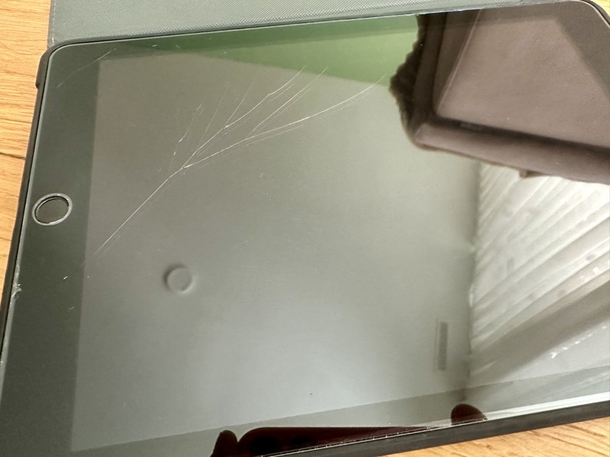 Apple Tablet PC: iPad 6th Gen 128GB Wi-Fi  – Usato da Gattikon venduto da Sarahs_Schatzkammer 7