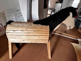Pferd aus Holz