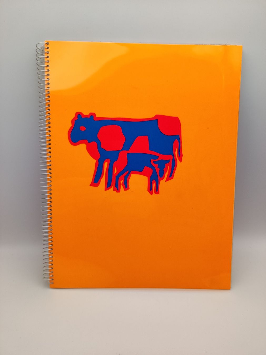 Bücher: ARTISTS BOOKS - EGGIMANN - BURI - CHÜE – Gebraucht aus Goldach von Gaip 9