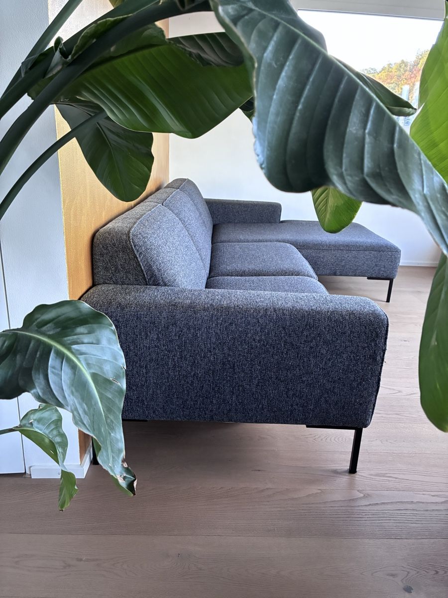 Sofas: Sofa von Pfister – Gebraucht aus Gebenstorf von canola 1