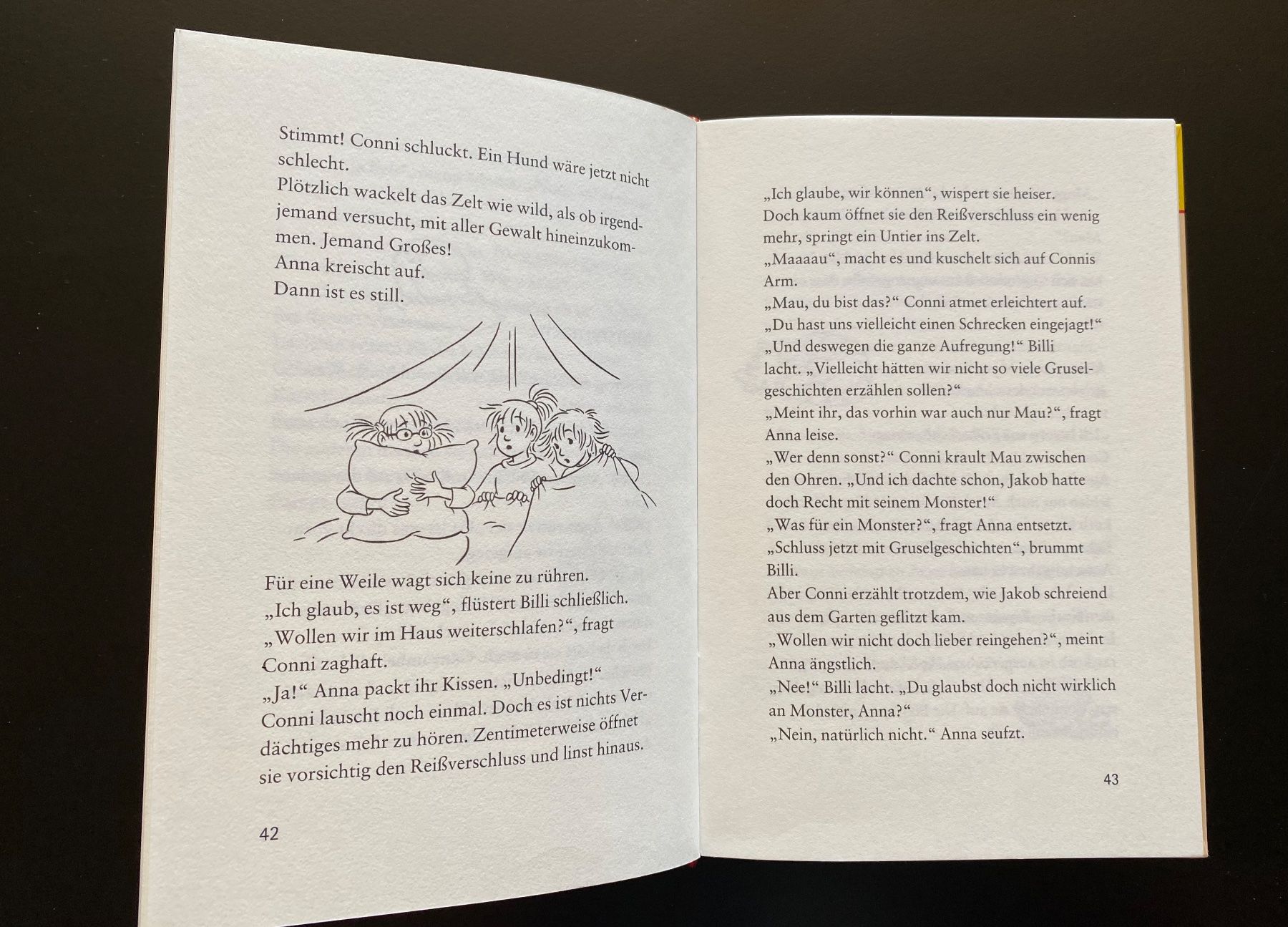Libri: Conni und der Ferienzirkus / Band 19 – Usato da Nussbaumen AG venduto da schuba2000 3