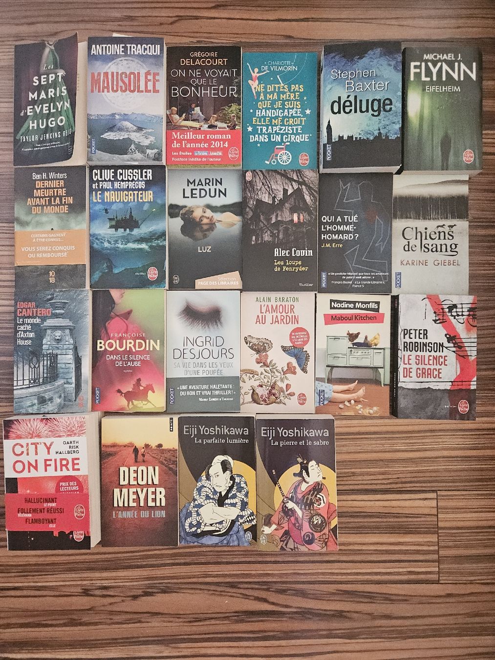 Libri: 85 livres poches & gd format – Nuovo (secondo la descrizione) da Thônex venduto da lacomtessedesfees 1