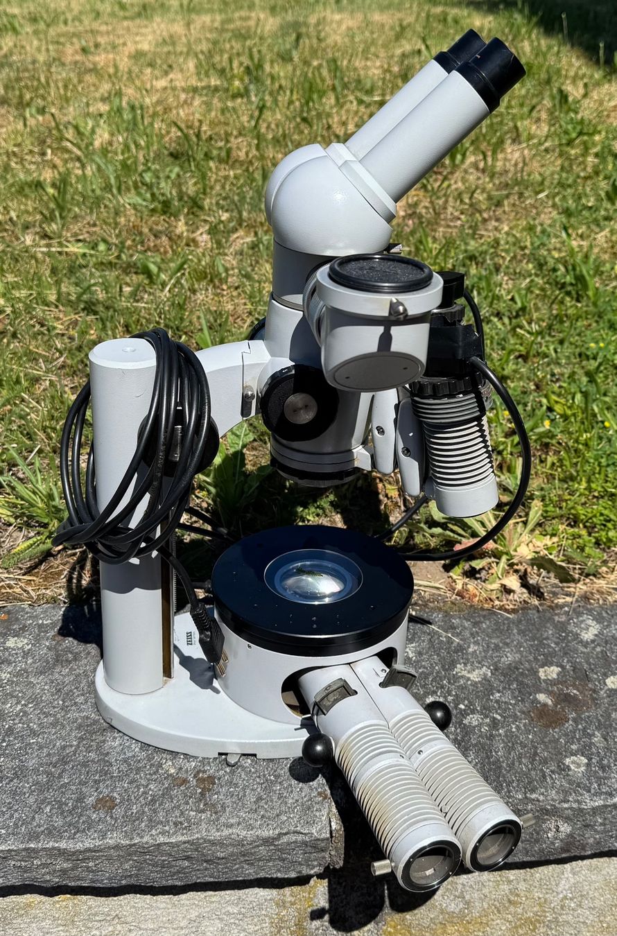 Microscopi: ZEISS Stereo Mikroskop – Usato da Rumendingen venduto da Tschangie 1