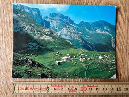 Ansichtskarte Appenzeller