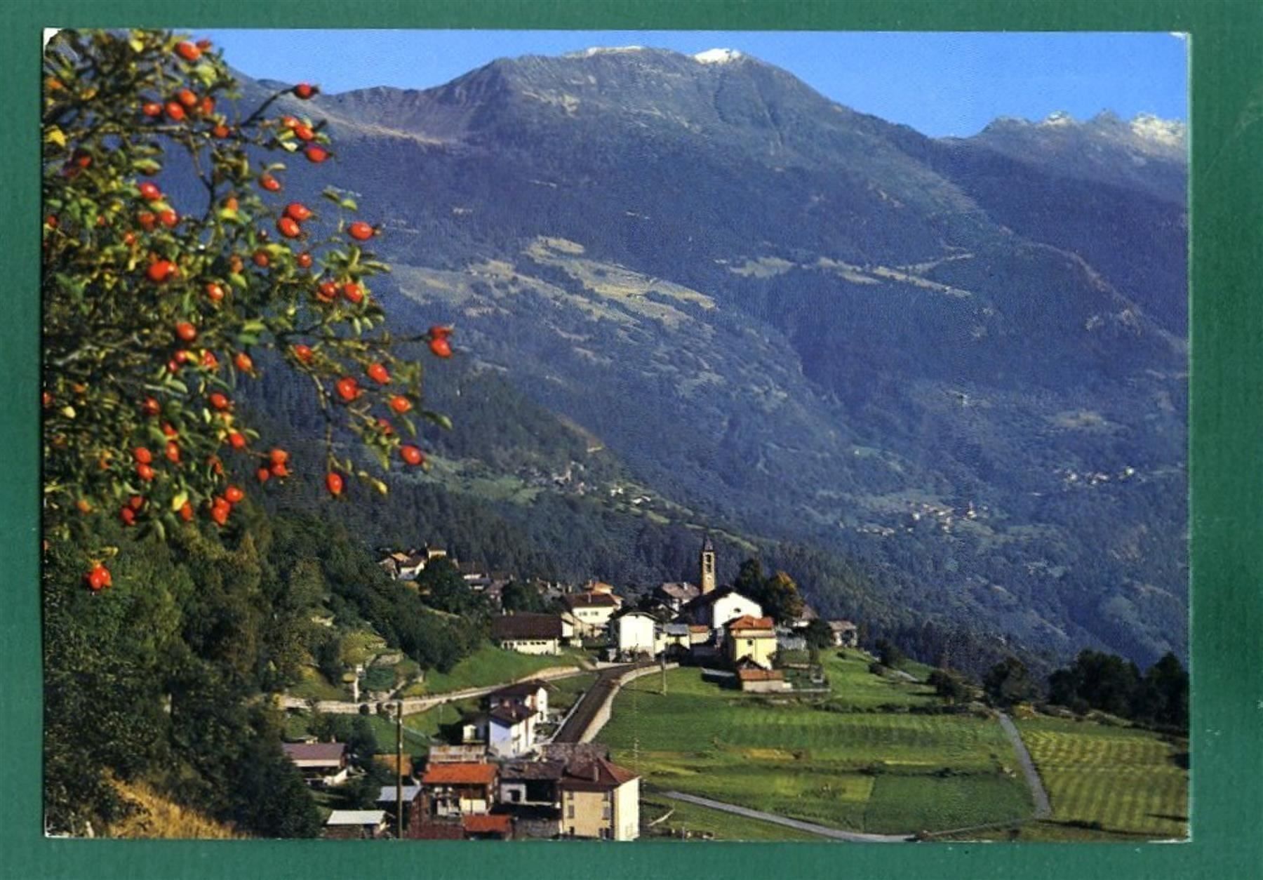Cartoline postali: Osco TI, 1982, gelaufen, Grossformat – Usato da Sargans venduto da Hausi1951