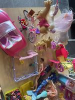 20 Barbies inkl Zubehör