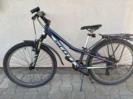 Kindervelo Scott