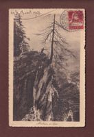 MONTANA - Au Bisse - 1917