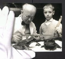 Fotografie Roland Scheidemann, Düsseldo