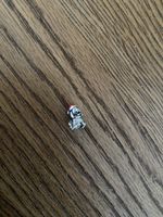 Pandora Charm Hund mit Samichlausmütze
