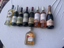 9 Flaschen Alkoholische Getränke (55)