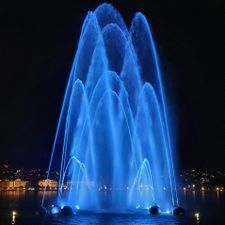 Profile image of gardenmagic