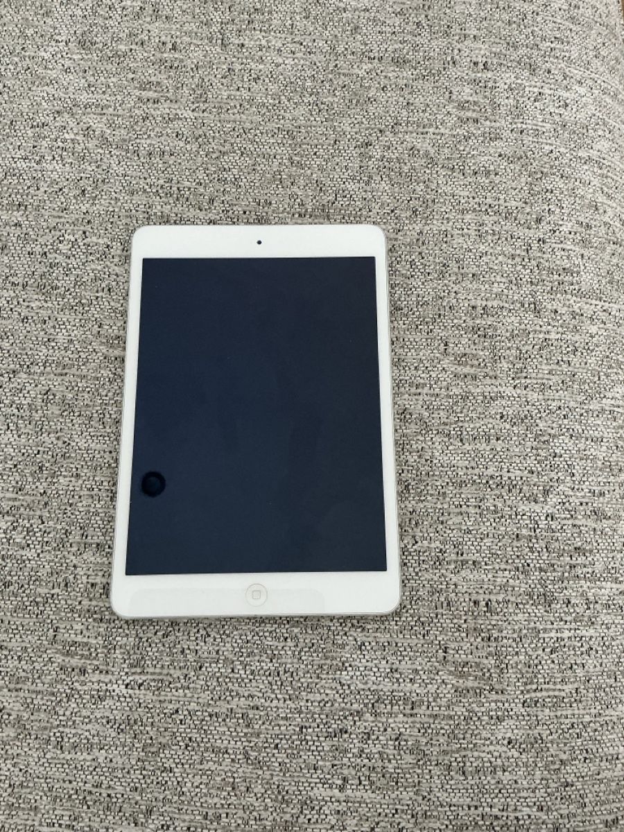 Apple Tablet PC: iPad Mini 2 – Usato da Turin (Salins) venduto da noa_7ngs
