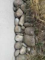 Natursteine für Garten