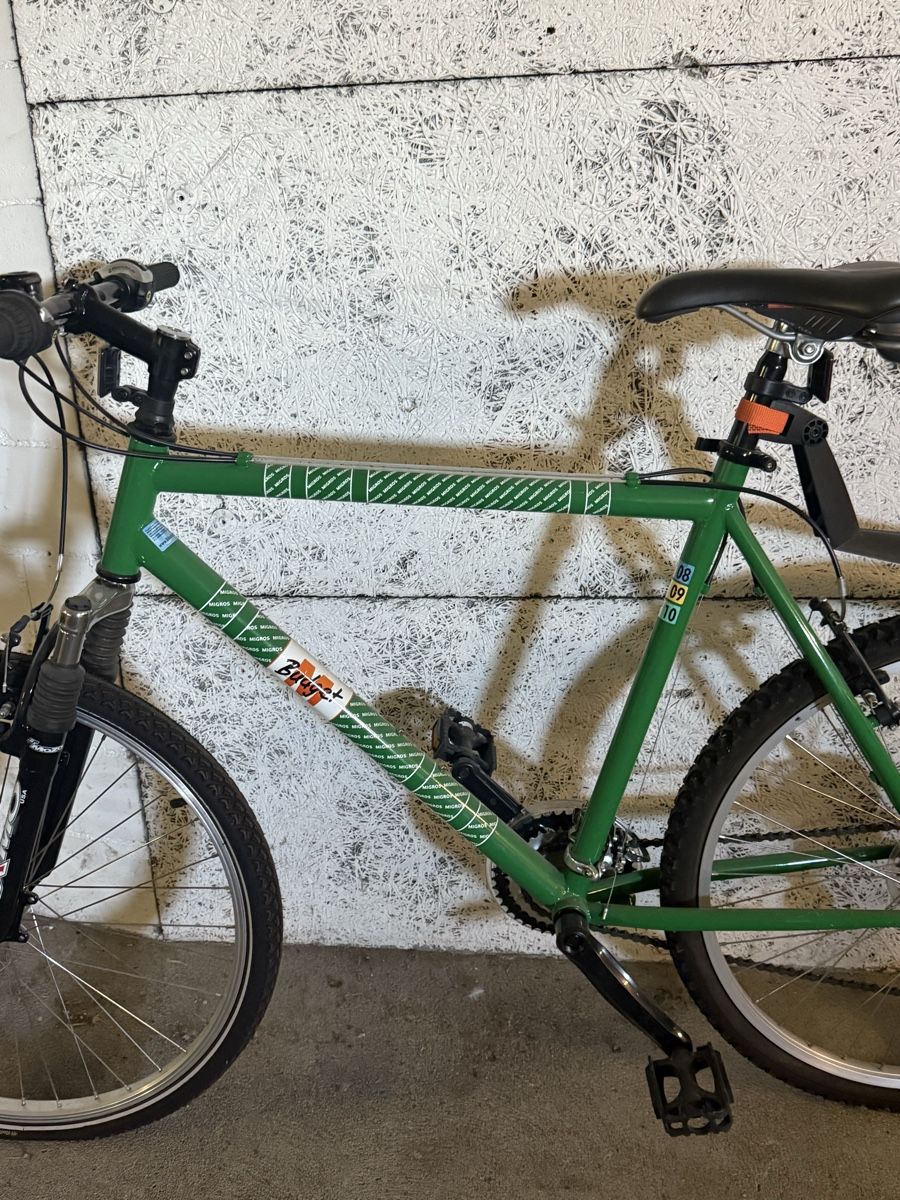 Biciclette: Mountainbike Mbudget 21’ – Nuovo (secondo la descrizione) da Horgen venduto da Schuehorg