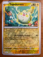 Pokemon Togedemaru Reverse (Versand gratis)