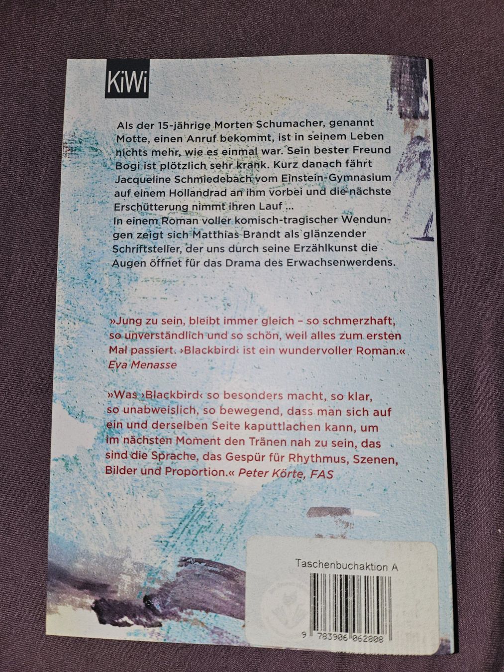 Libri: Buch: Blackbird – Usato da Thun venduto da Shame 1