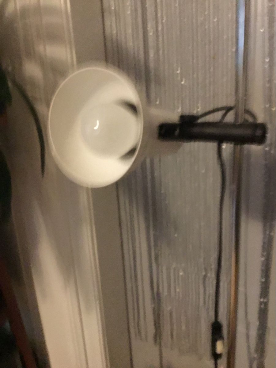 Lampade: Midi Century Stehlampe – Usato da Schlieren venduto da Jeajet 7